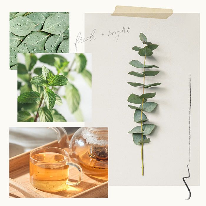 Your Complete Handbook for Skincare Maintenance