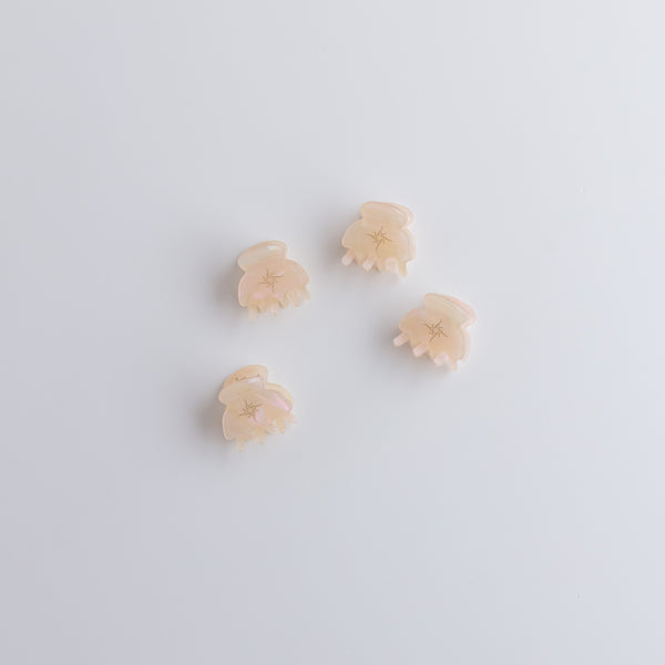 Addoony Clip Away (4 Small Hair Claw) أدوني مقبض للشعر (٤ حجم صغير)