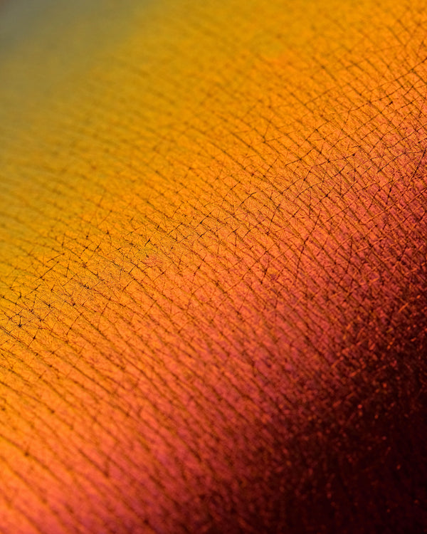 Karla Cosmetics Opal Multi Chrome Loose Eyeshadow (Day Dream) كارلا - شادو باودر كروم للعين