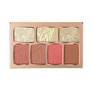 Character The Face Diary Blusher & Highlighter - TFD002 - باليت هايلايت وبلاشر