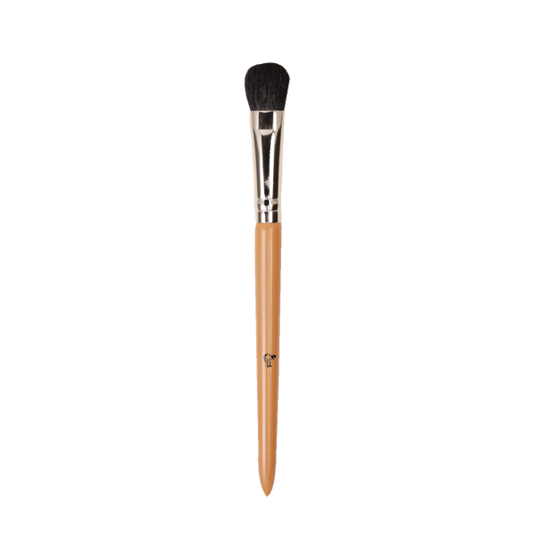 Addoony Individual Paint Eye Brushes  فرش أدوني الخاصة بالتوزيع